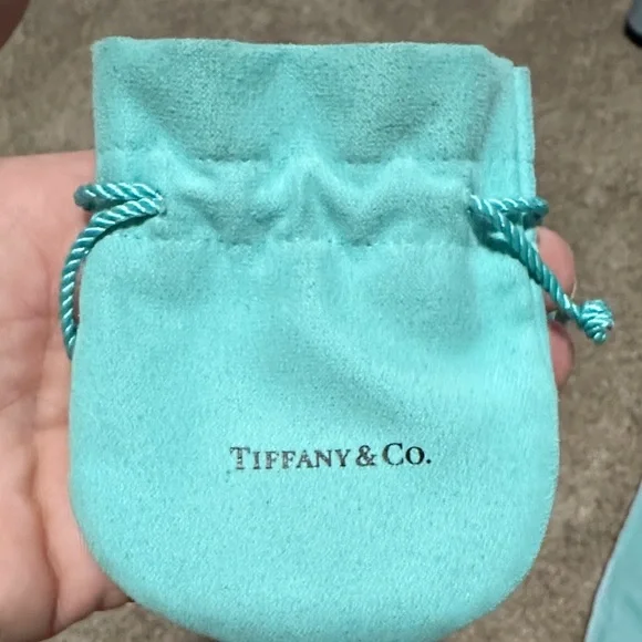 Tiffany & Co. Turquoise Pouch Collection - Picture 11 of 16